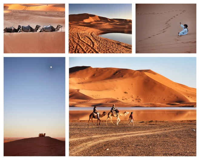 The Sahara Desert in Morocco.